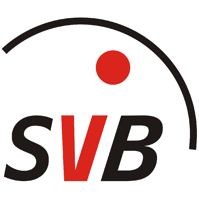 Logo SV Brake